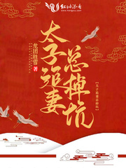 太子追妻总掉坑