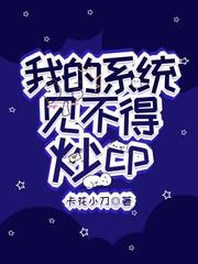 我的系统见不得炒CP