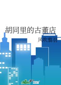 胡同里的古董店