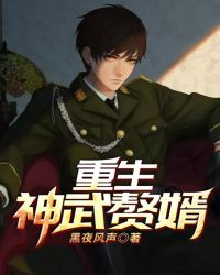 重生神武赘婿