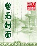 神奇宝贝之开挂人生