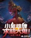 小鬼难缠,求助大鬼！