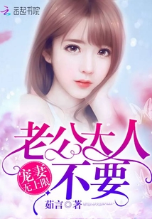 宠妻无上限：老公大人,不要