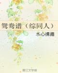 鸳鸯谱（综同人）